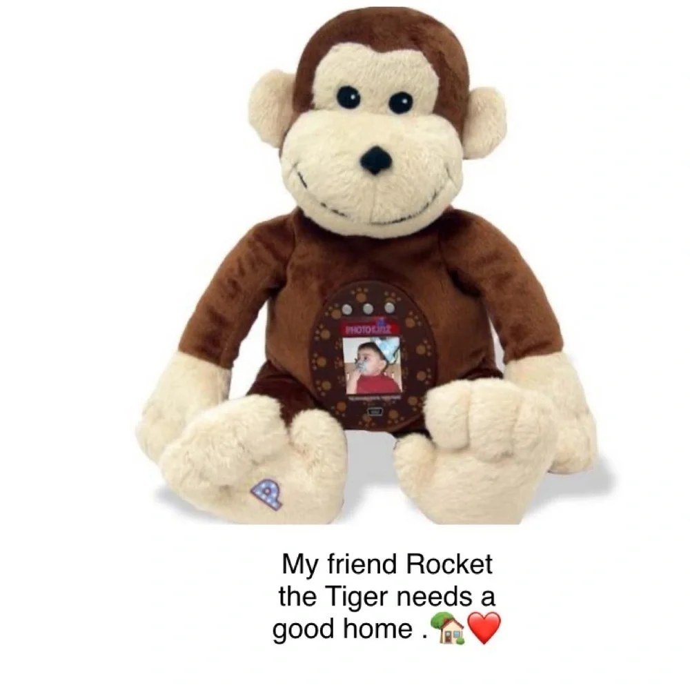 Huggable Digital Photo Frame - Rocket the Tiger